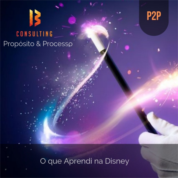 img Programa de Capacitação P2P - Propósito & Processo